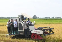 Ketahanan Pangan, Korem 044/Gapo Ikuti Program Gerakan Tanam IP300