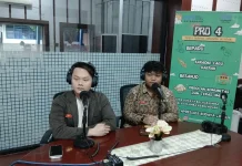 Pengembangan Kapasitas Pemuda Jadi Kunci Hadapi Tantangan Global
