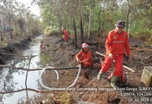 Karhutla Sungai Rotan, Petugas Bersihkan Kanal Dampak Air Menyurut