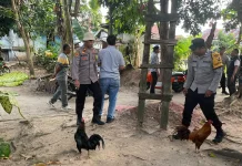 Polsek Tanjung Raja Patroli Tindaklanjuti Dugaan Sabung Ayam