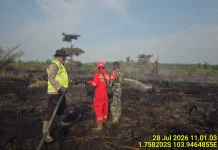 Karhutla Hanguskan 20 Hektare Gambut Muara Medak
