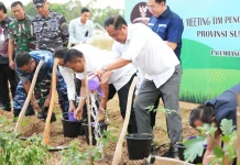 Sumsel Perkuat GSMP Dukung Ketahanan Pangan dan MBG