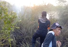 Api Dekati Permukiman di Sekayu, Tim Gabungan Padamkan Karhutla
