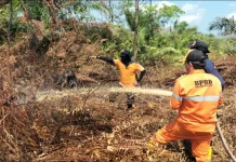 Lahan Gambut 20 Hektare di Muba Terbakar, Tim Pemadam Buru Bara Api