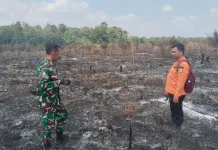 Hotspot Terdeteksi di Muba, Petugas Temukan Lahan Terbakar