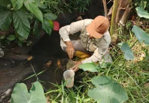 Sungai Sukomoro Menghitam dan Bau, DLH Banyuasin Lakukan Uji Limbah