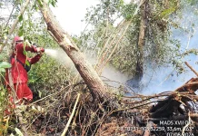 Karhutla Tulung Selapan OKI, Manggala Agni Tambah Dua Regu dari Jambi