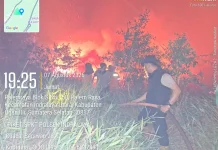 Api Hanguskan 25 Hektare Lahan di Ogan Ilir, Pemadaman Tembus Dini Hari