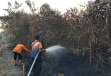 BPBD Muba Imbau Warga Waspada Karhutla Meluas ke Pemukiman