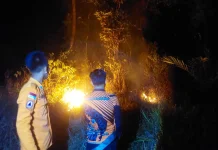 Karhutla Bakar Setengah Hektare Lahan di Lawang Wetan Muba