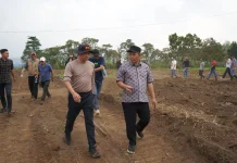 Pemkot Pagar Alam Siapkan 10 Hektare Lahan untuk Bawang Putih