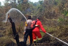 Karhutla Kembali Terjadi di Lawang Wetan