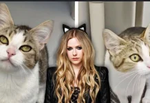 Kucing Bernama Avril Lavigne Viral karena Mirip Penyanyi Pop-Punk