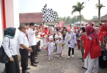 HUT ke-81 RI, 823 Anak TK Ramaikan Karnaval Profesi di Banyuasin
