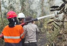 Sekitar Satu Hektar Lahan di Perajin Banyuasin Terbakar