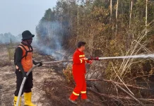 Tiga Hektare Lahan Muara Teladan Muba Terbakar