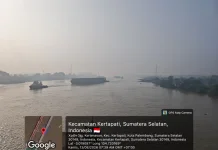 Luasan Karhutla di Sumsel Capai 1.926,2 Hektare, Melonjak Signifikan di Bulan Juli