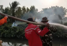 Lahan Gambut Rantau Bayur Terbakar, BPBD Banyuasin Hadapi Akses Sulit