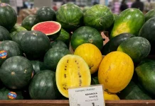 Semangka Kuning dan Merah, Apa Bedanya?