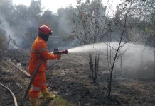 Dua Karhutbunla Terjadi Bersamaan di Muba