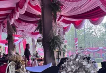 HUT ke-81 RI, Herman Deru Dorong Pemuda Berani Berkompetisi di Era Modern