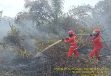 Karhutla Sumsel: OKI, Muba dan Muara Enim Jadi Prioritas Pemadaman