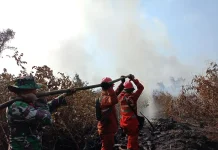 Manggala Agni Tambah Personel Padamkan Karhutla Muara Enim