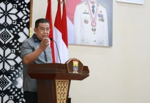 Pemkot Palembang Tingkatkan Kualitas Posyandu dan Penerapan PHBS