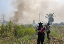 Kebakaran Lahan Dekati Perumahan Griya Cipta Utama, Polisi Gerak Cepat Padamkan