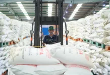 Amankan Stok saat Kemarau, Pusri Siagakan 141 Ribu Ton Pupuk Subsidi