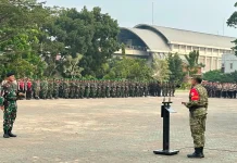 Presiden Tinjau Karhutla di Sumsel, TNI-Polri Siagakan Personel