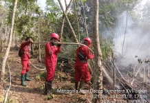 Kepungan Asap Kian Pekat, Personel Manggala Agni Digeser ke Sumsel