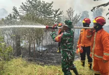 Karhutla Kembali Terjadi di Muba, Tim Gabungan Padamkan Tiga Hektare