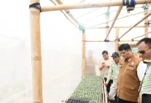 Program Sinar Bohlam Dorong Pertanian Modern di Banyuasin