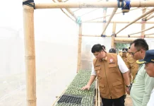 Sinar Bohlam Hadirkan Smart-Greenhouse Melon Sumsel