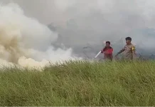Lahan Semi Gambut Seluas 15 Hektare di Pulau Semambu Hangus Terbakar
