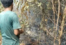 BPHL Palembang Temukan 176 Indikasi Hotspot di Areal PT BMH