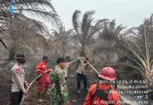 Satbrimob Polda Sumsel Bersama TNI dan Manggala Agni Tangani Karhutla Muba