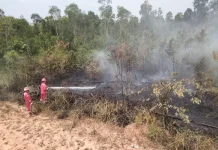 Pertamina EP Ramba Field Bantu Warga Padamkan Karhutla Sekitar Wilayah Operasi