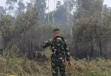 Karhutla 3 Hektare di Gandus Padam, Warga Diminta Waspada