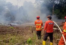 Karhutbunla 2 Hektare di Sekayu Padam, Penyebab Diselidiki
