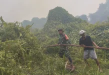 Kebakaran Lahan Kembali Melanda Kota Palembang