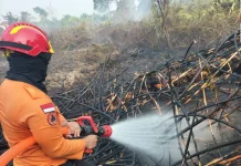 Hotspot Terdeteksi Satelit di Babat Toman, Tim Karhutla Muba Langsung Cek Lokasi