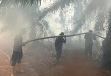 Operasi Aman Nusa II Tangani Karhutla 9 Hektare di OKI