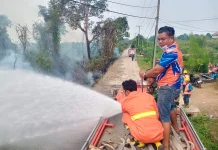 Karhutla Dekat Permukiman di Sekayu Hanguskan Satu Hektare