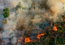 Karhutla Kini Jadi Ancaman Keamanan Indonesia di ASEAN