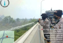 Tim Gabungan Padamkan Karhutla Enam Hektare di Ogan Ilir