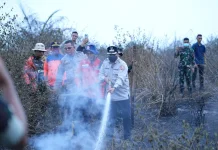Bupati Banyuasin Pimpin Pemadaman Karhutla di Desa Biyuku
