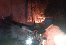 Empat Titik Karhutla Muncul Muba, Tim Gabungan Upayakan Pemadaman