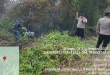 Belasan Hektare Lahan TNBS Terindikasi Terdampak Kebakaran